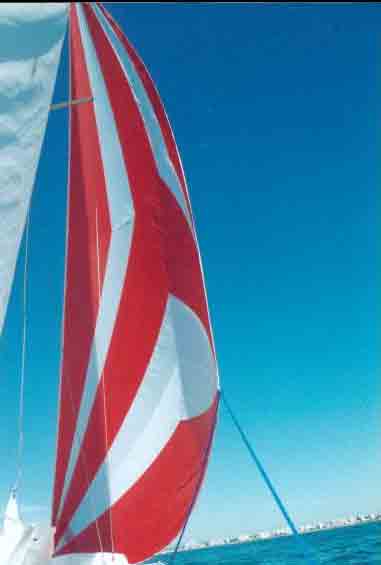 Challenger Micro 2000 - Photo 13