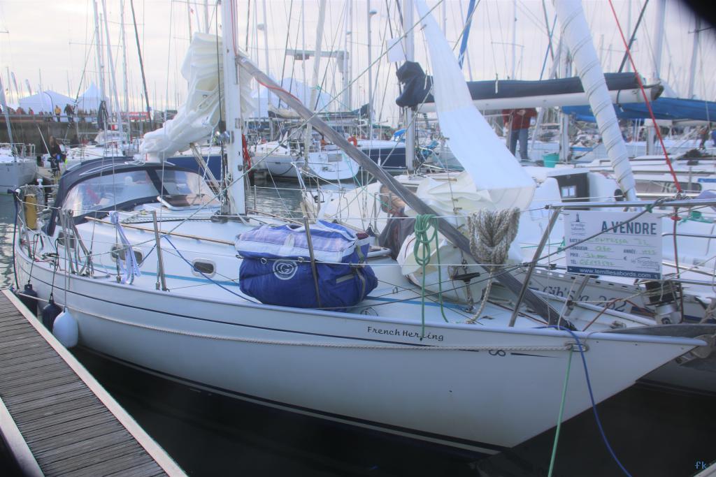 Contessa 32