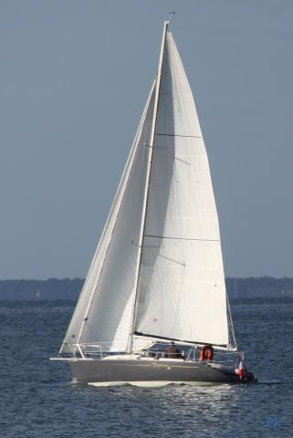 Day Dream 300 - Photo 6