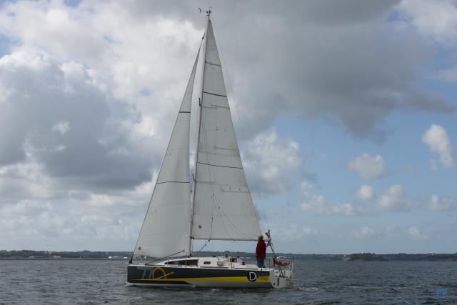 Django 770 - Photo 5