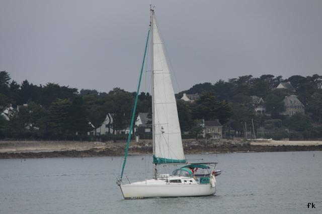 Feeling 356 - Photo 5