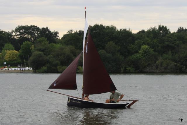 Gazelle des sables - Photo 5