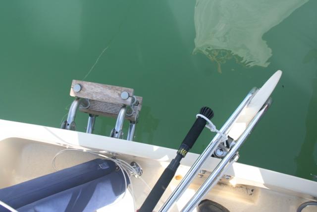 Microsail - Photo 19