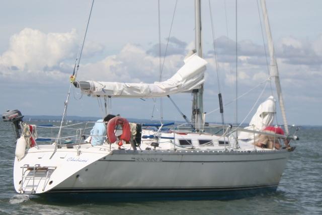 Sun Shine - Photo 11