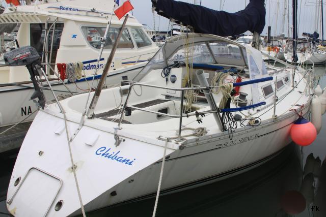 Sun Shine - Photo 12