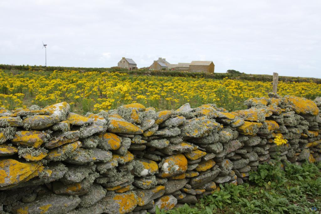 Sur l’île de Quéménès